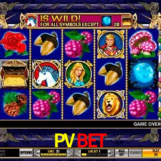 Exclusive Offers PVBET